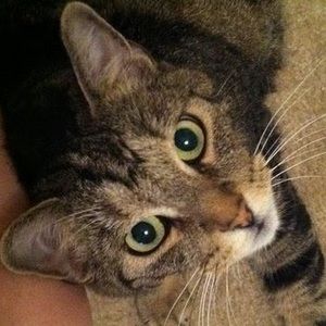 Meet your Posher, Katherine